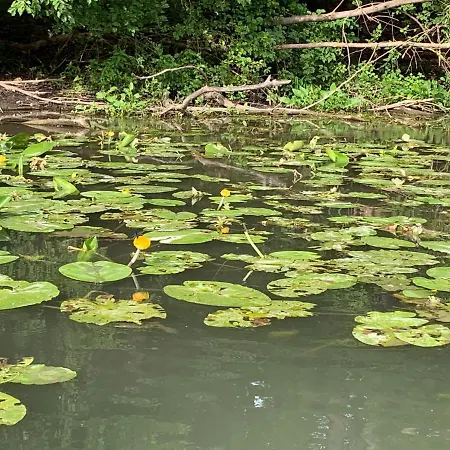 Villa Luxury By Little Danube - Pista & Magduska