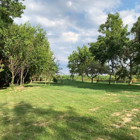 Luxury By Little Danube - Pista & Magduska