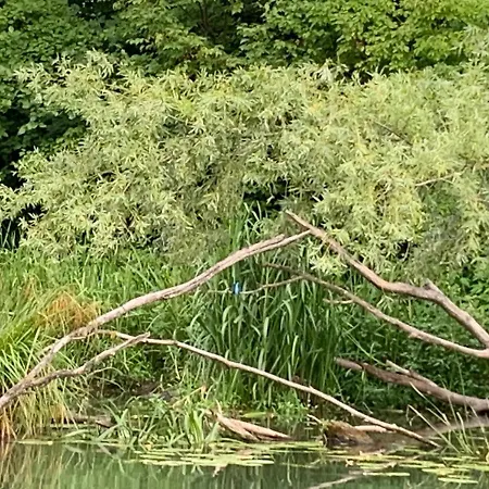 Luxury By Little Danube - Pista & Magduska * Cierna Voda