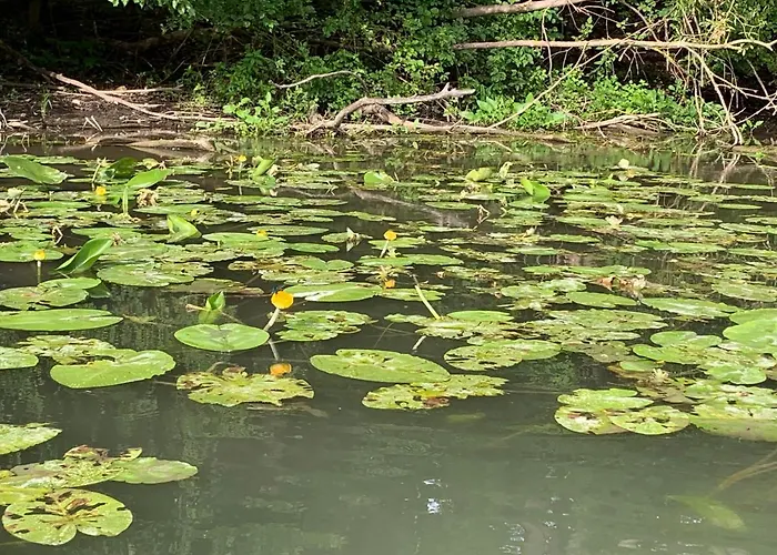 Villa Luxury By Little Danube - Pista & Magduska