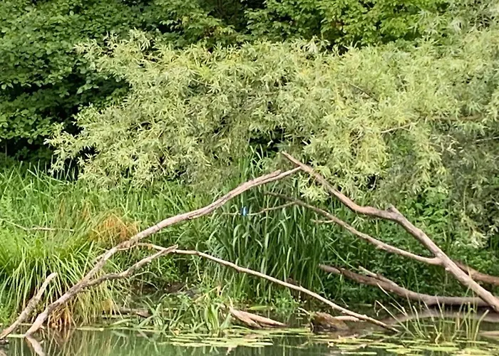 Luxury By Little Danube - Pista & Magduska * Cierna Voda